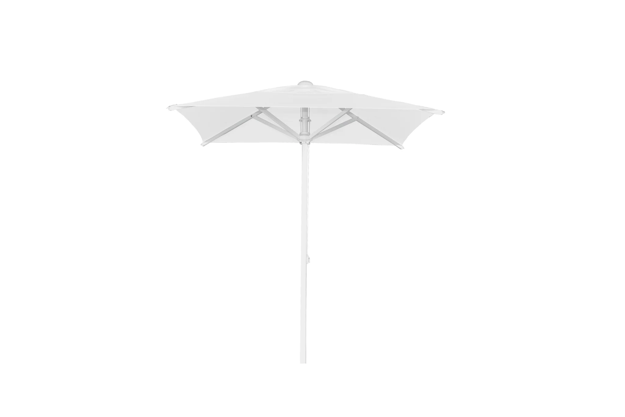 Miniatuur 3