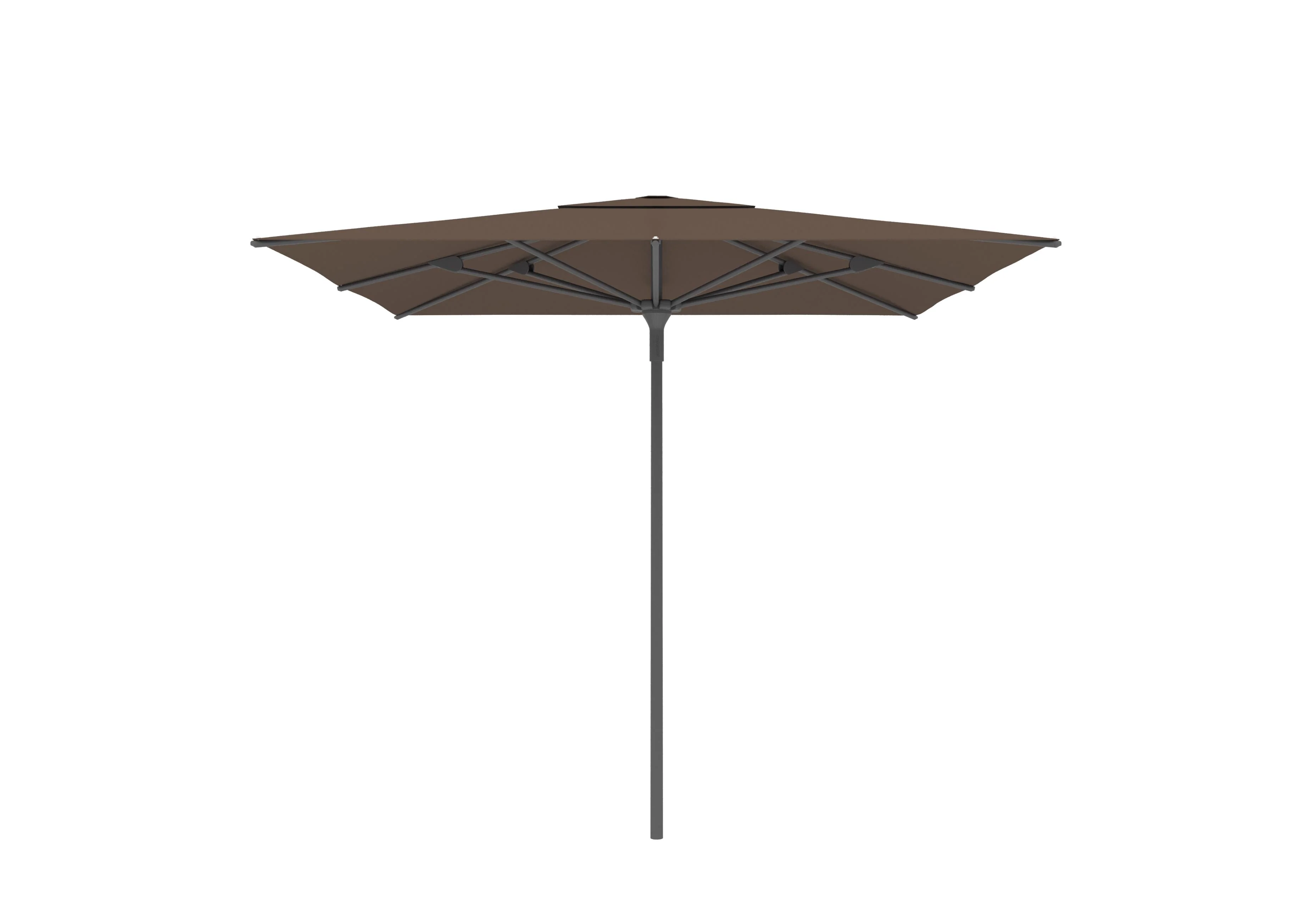 Miniatuur 51