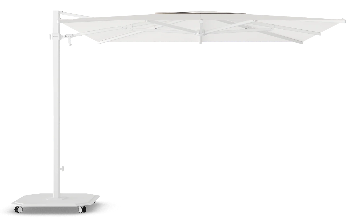 Miniatuur 12