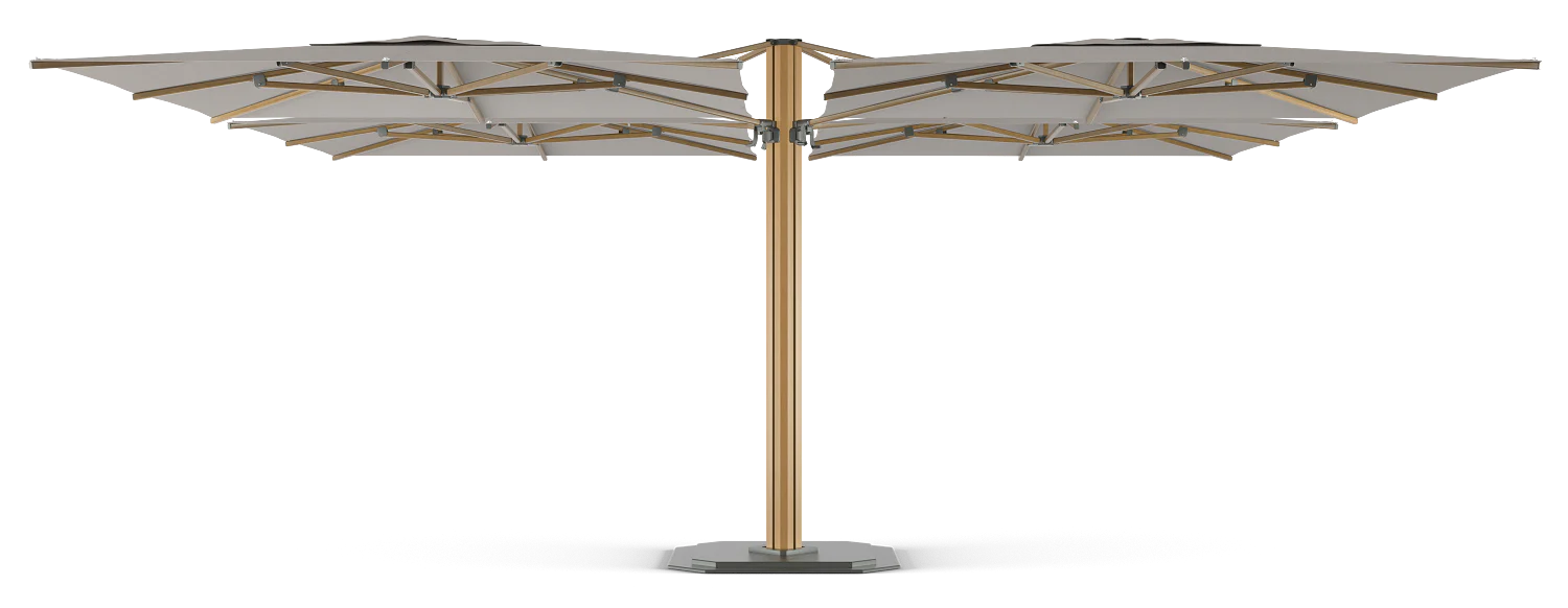 Miniatuur 12