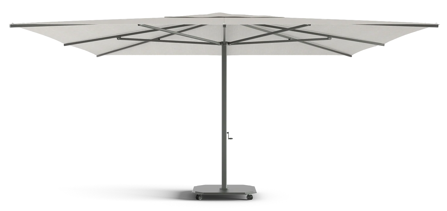Miniatuur 12