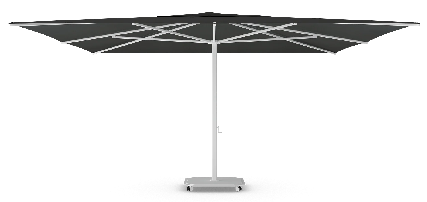 Miniatuur 9