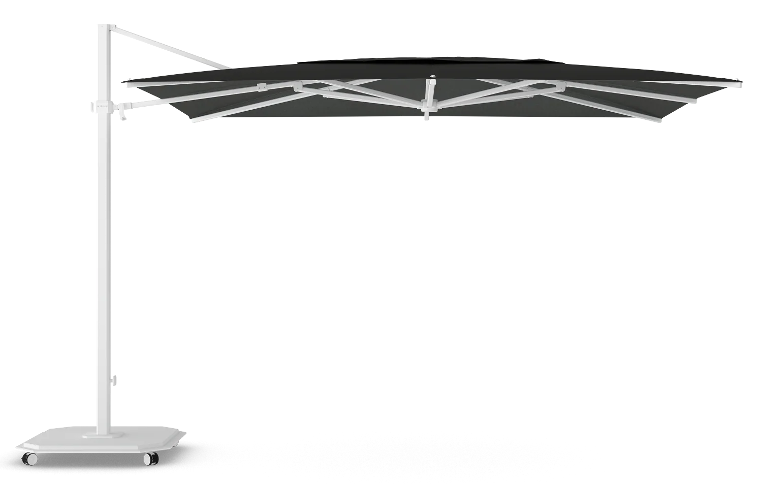 Miniatuur 11