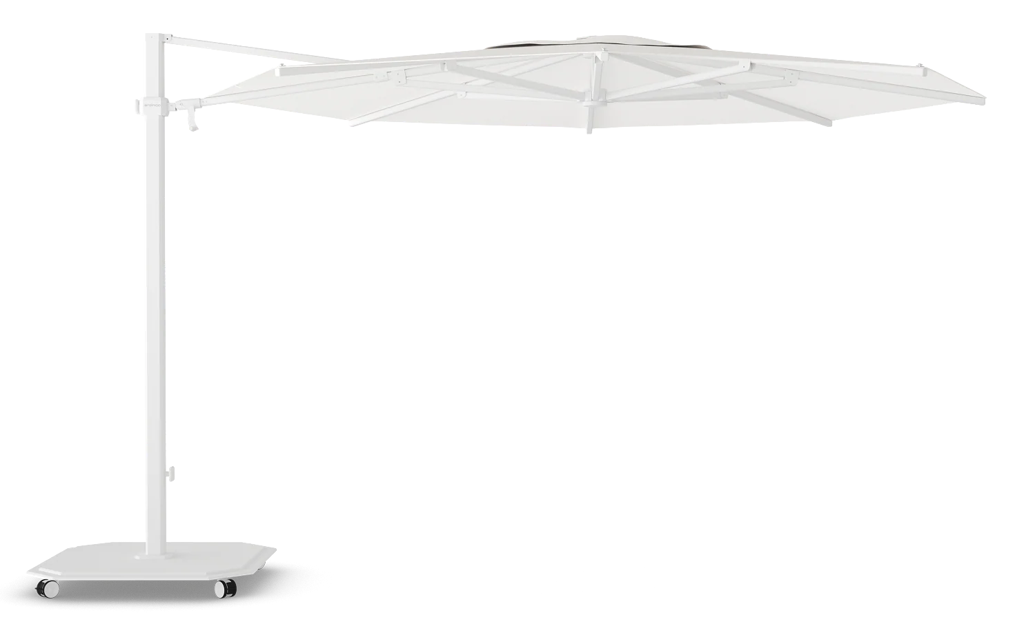 Miniatuur 6