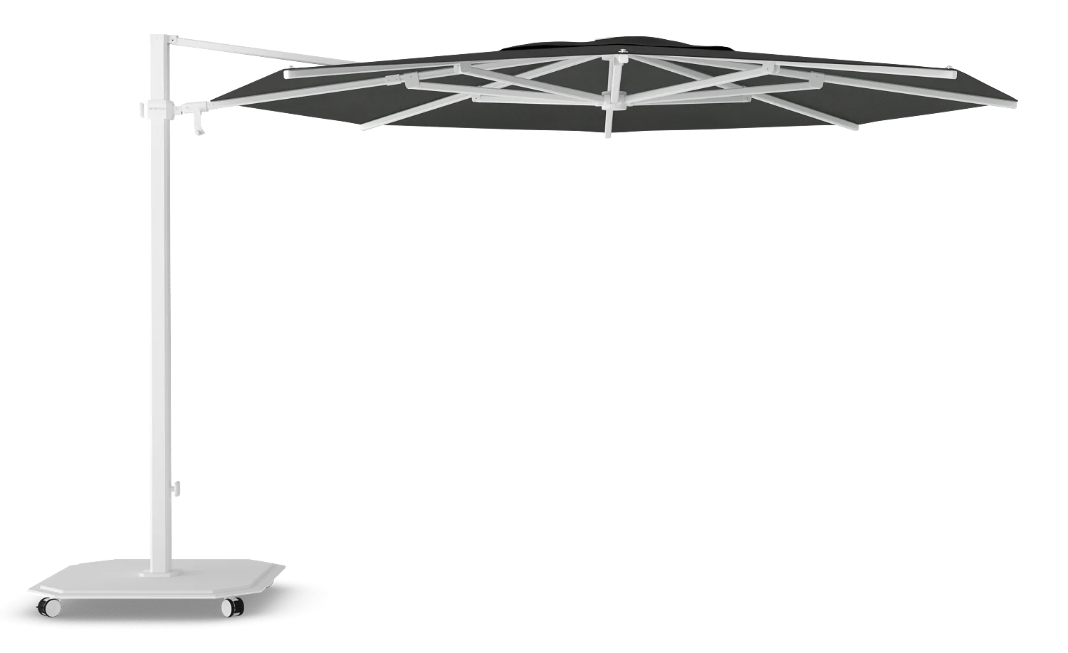 Miniatuur 9