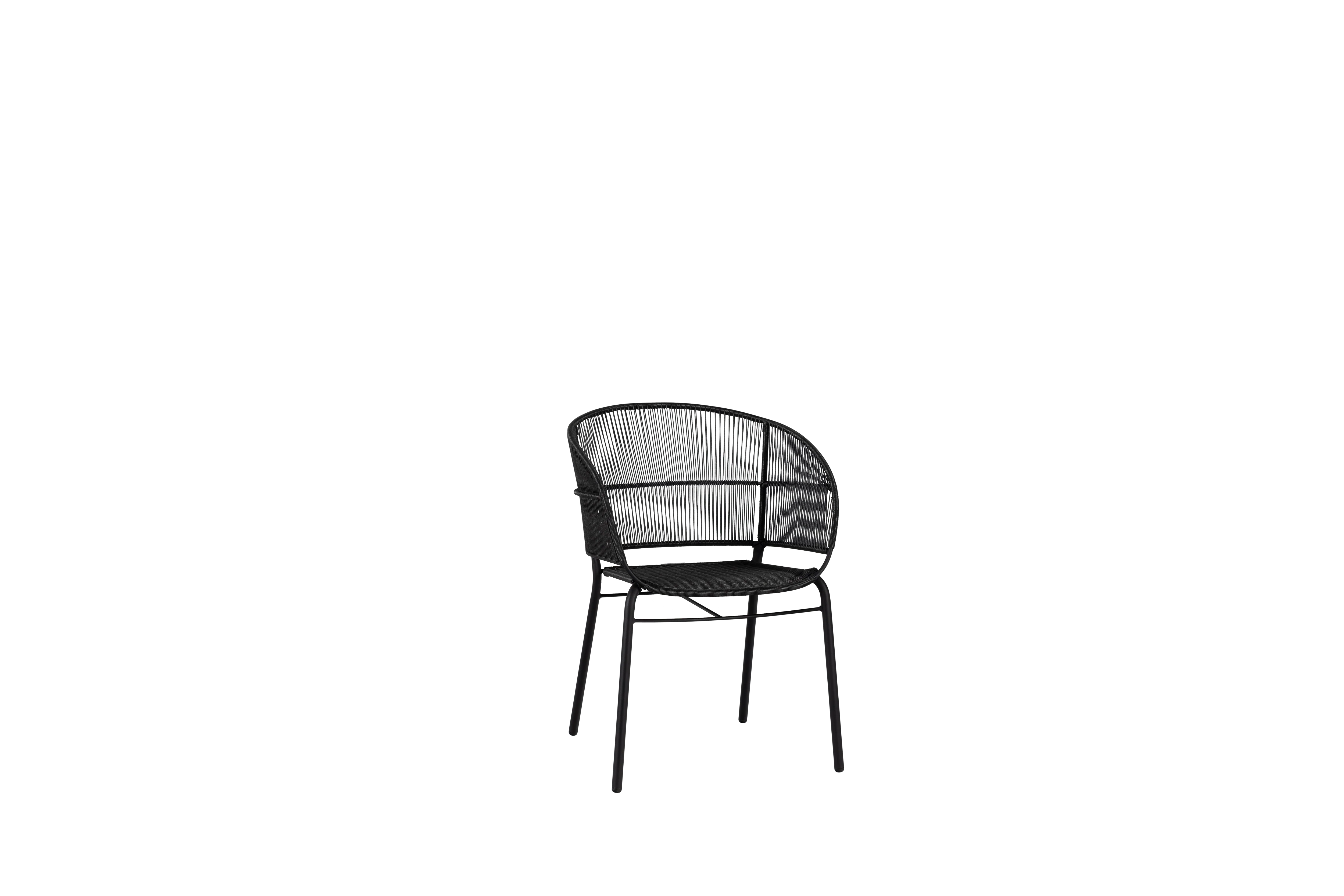 Miniatuur 5