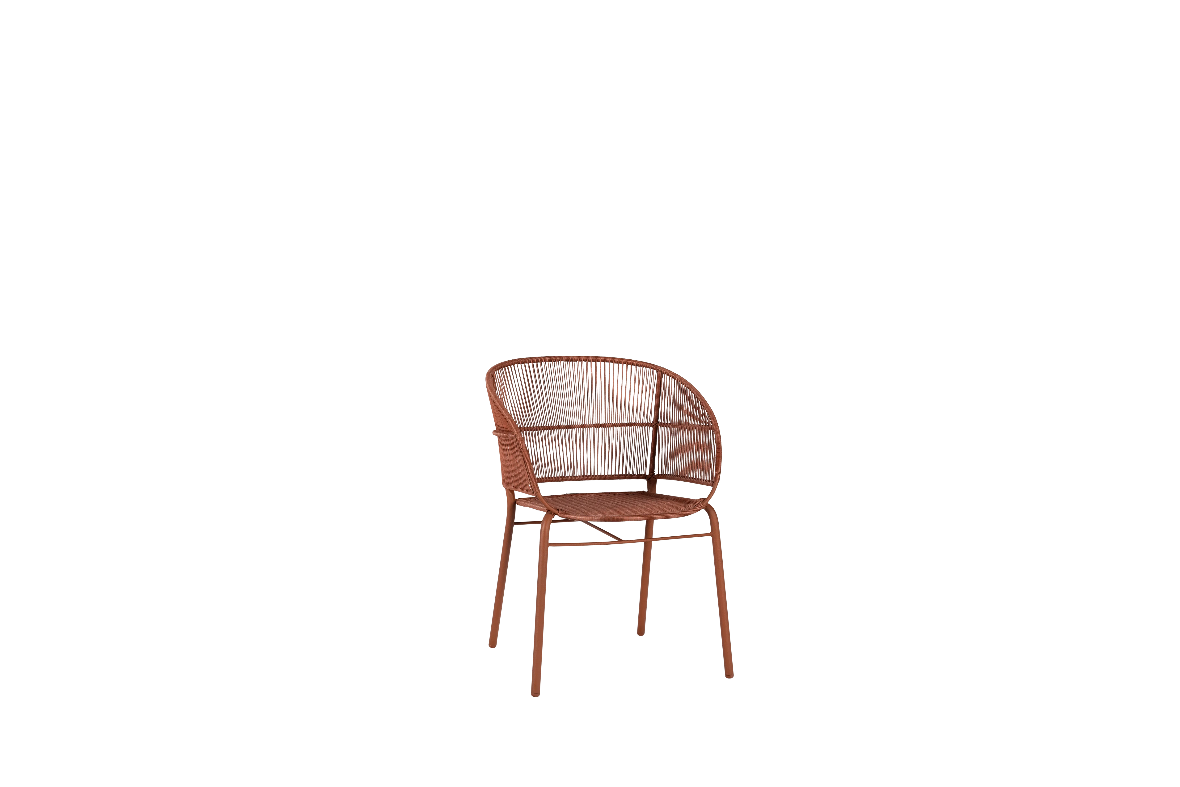 Miniatuur 6