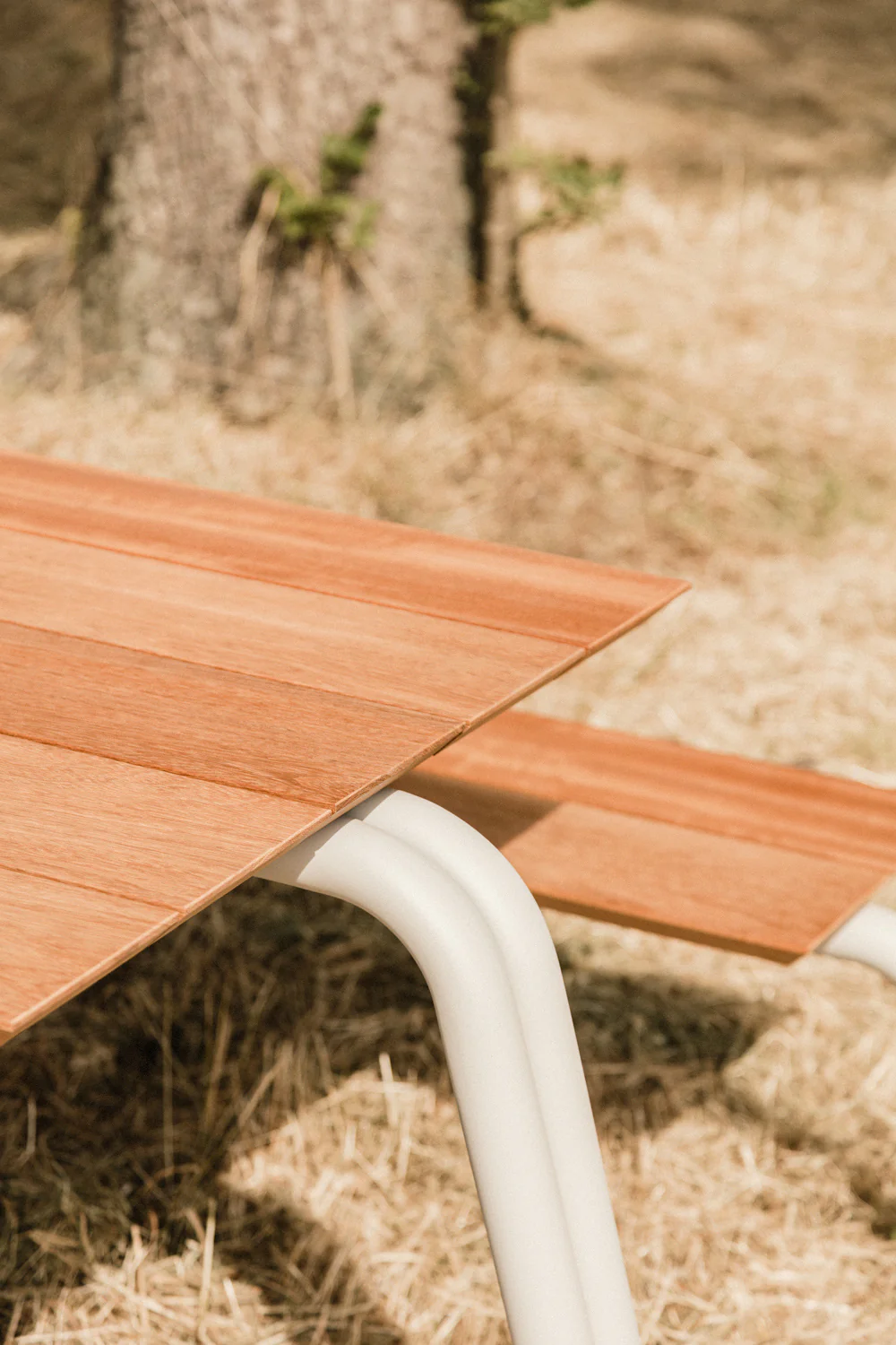 Miniatuur 6