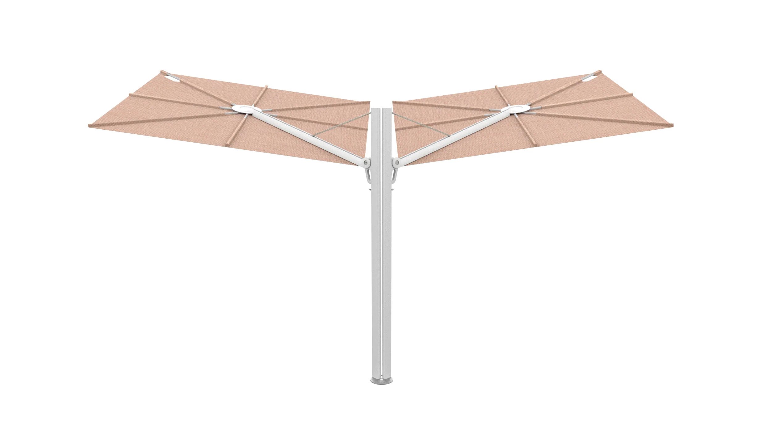 Miniatuur 55